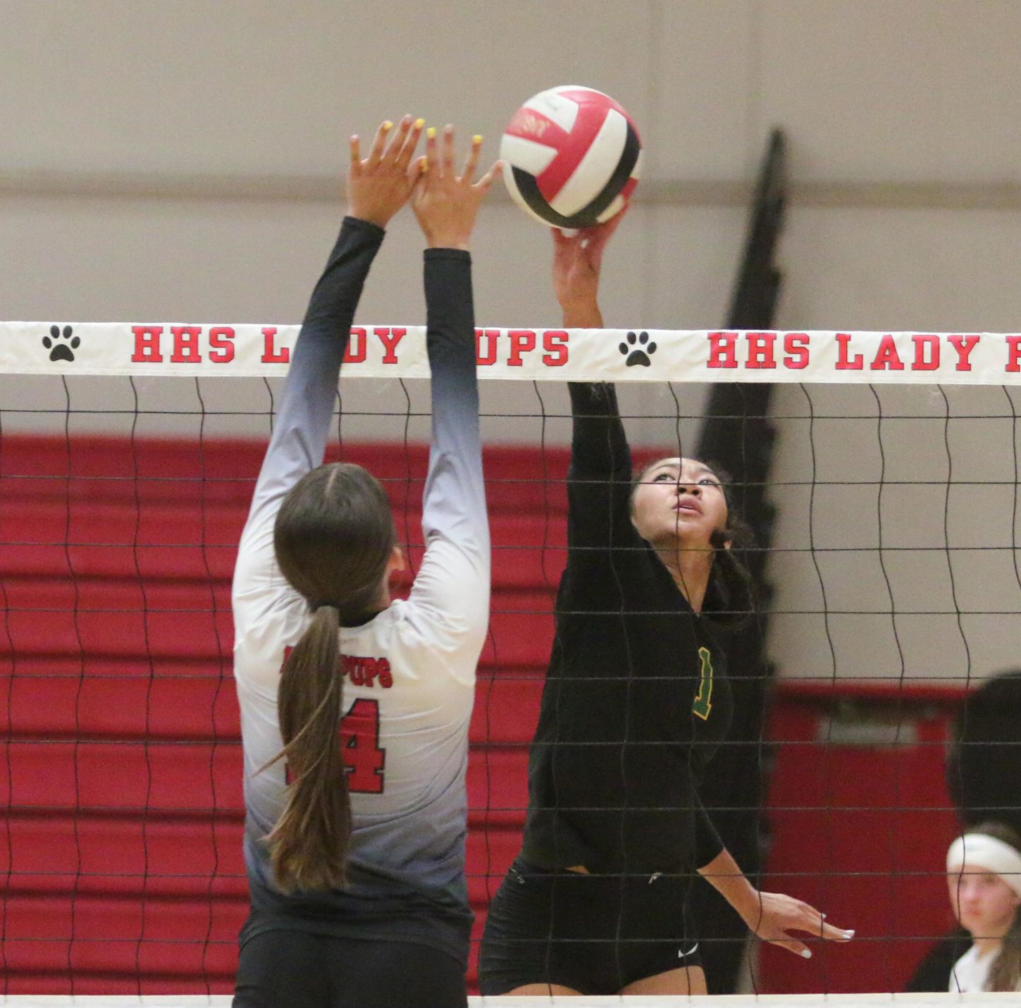 Golden Bears open season with victory over Bullpups